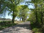 Road at Inchcorsie